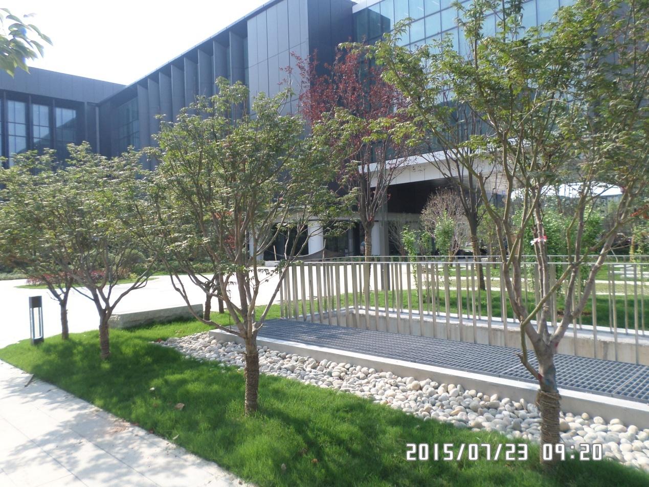 华为西安全球交换技术中心及软件工厂项目景观绿化工程
