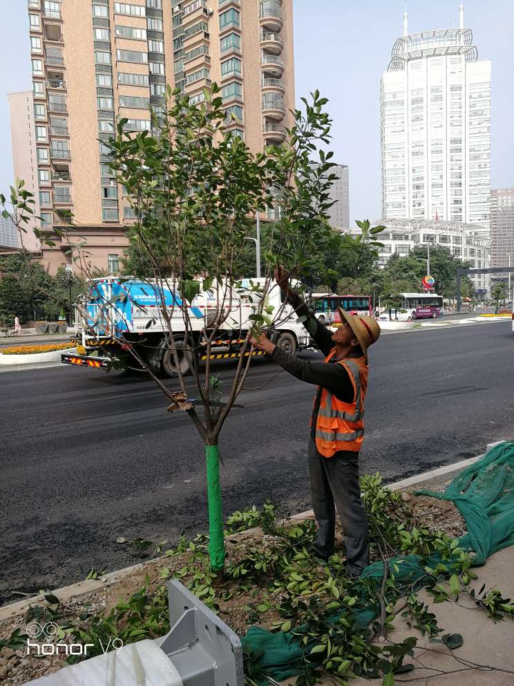 陕西三木城市生态发展有限公司