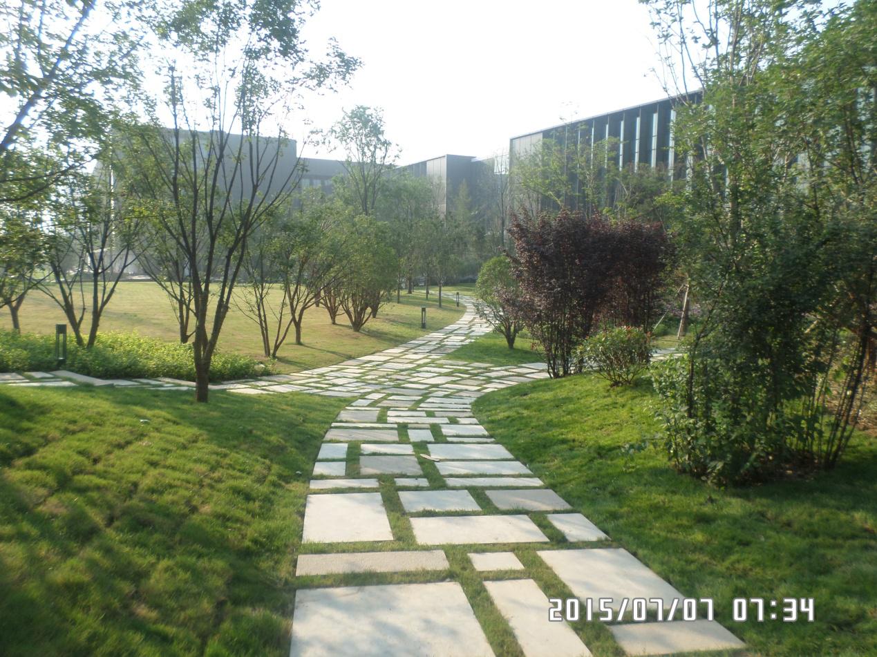 华为西安全球交换技术中心及软件工厂项目景观绿化工程